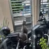 Bruno Trujillo - @bruno.trujillo0 - TikTok