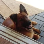 Bruno Tucker - @bruno_luck_tucker - Instagram