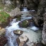 Bruno Valentini - @valentini.faina - Instagram