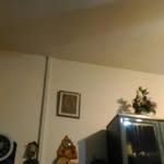 bruno.valentini - @bruno.valentini6584 - Instagram