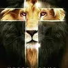 Jesus e u caminho - @brunovarao - TikTok