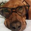 Bruno Venturi - @bruno.venturi - TikTok