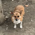 Bruno Wells - @brunno261wells - Instagram