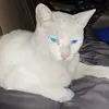 Bryan acosta - @bryan.acostaa1 - TikTok