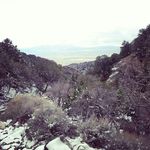 @bryan_adamson__ - Instagram