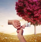 Bryan Amador - Facebook