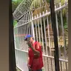 Bryan Amador - @bryan.amador85 - TikTok
