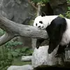 Augustine Bryan - @augustine.bryan - TikTok