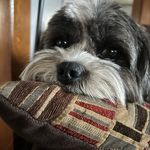 Bryan Bartlett - @brybub031 - Instagram