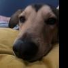 Koby bryan Bartlett - @koby.bryan.bartle - TikTok