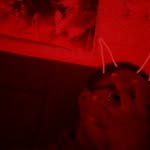 Bryan Beasley - @vrlxzx - Instagram