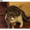 bryanbeasley13 - @bryanbeasley13 - TikTok