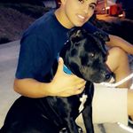 Bryan Benavides - @bryan.benavides.923 - Instagram