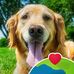 Bryan Benavides - Facebook