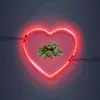 Bryan.benavides24 - @bryan.2429 - TikTok