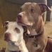 Bryan Bender - Facebook