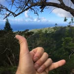 bryan beyerle - @bryanbeyerle - Instagram