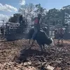 bryanbibb - @bb3020224 - TikTok