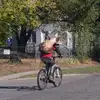Brian Bilbrey - @brianbilbrey0 - TikTok