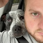 Bryan Billings - @sprinterbillings - Instagram
