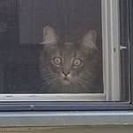 Bryan Bishop - @cat_drugs - Instagram