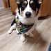 Brian Blauvelt - Facebook