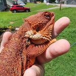 Bryan Blaylock - @divinedragons1 - Instagram