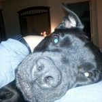 Bryan Bledsoe - @bbled2 - Instagram