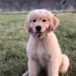 Bryan Blemler - @the_blemler - Instagram