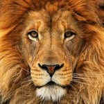 bryan16 - @bryanbonnau - Instagram