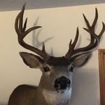 Brian Bowles - @brian_bowles_ - Instagram