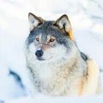 Bryan Boyer - @bryan.boyer.372 - Instagram