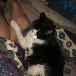 Bryan Boyer - @bryanboyer44 - Instagram