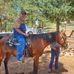 Bryan Braswell - Facebook