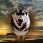 Bryan Bray - @bryan.bray.18 - Instagram