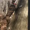Bryan Brown479 - @bryan_b53 - TikTok