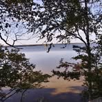Bryan Bruce - Facebook