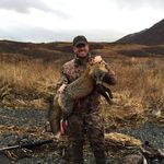 Bryan Buchholz - @bryanbuchholz - Instagram