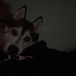 Bryan Bull - @bryan_bull21 - Instagram