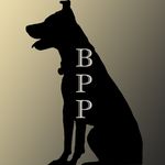 Bryan Bull - @bullseye_pet_photography - Instagram
