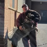 Bryan Bull - @bsbull_k9 - Instagram