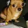 Bryan Caleb - @bryan.caleb2012 - TikTok