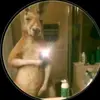 Bryan - @bryancall - TikTok