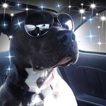 Bryan Cardwell - @bryan.cardwell.50 - Instagram