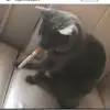 Bryan Castro 👾🎀 - @bryan.castro2145 - TikTok