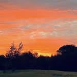 Bryan Causey - @bryan_causey_ - Instagram