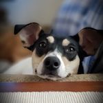 Bryan Chandler - @bryan.chandler.50 - Instagram