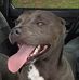 Bryan Charlton - Facebook