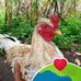 Bryan Chaves - Facebook