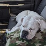 Brian Cordes - @bcordes09 - Instagram